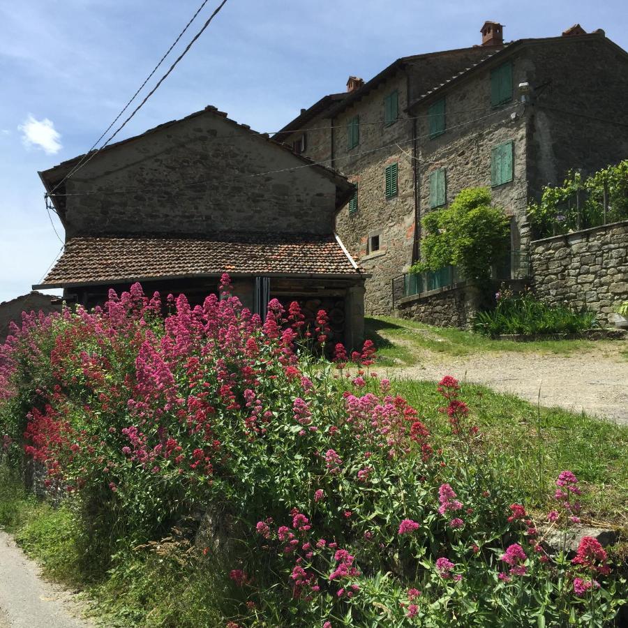 Castello Di Urbech Apartment ปราโตแวคคิโอ ภายนอก รูปภาพ